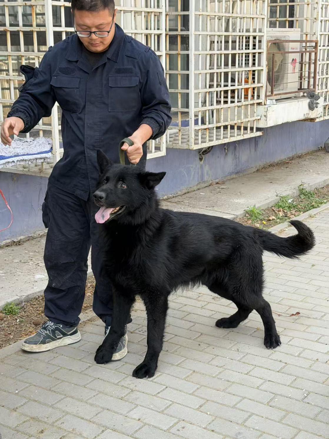 香港六合彩开奖记录