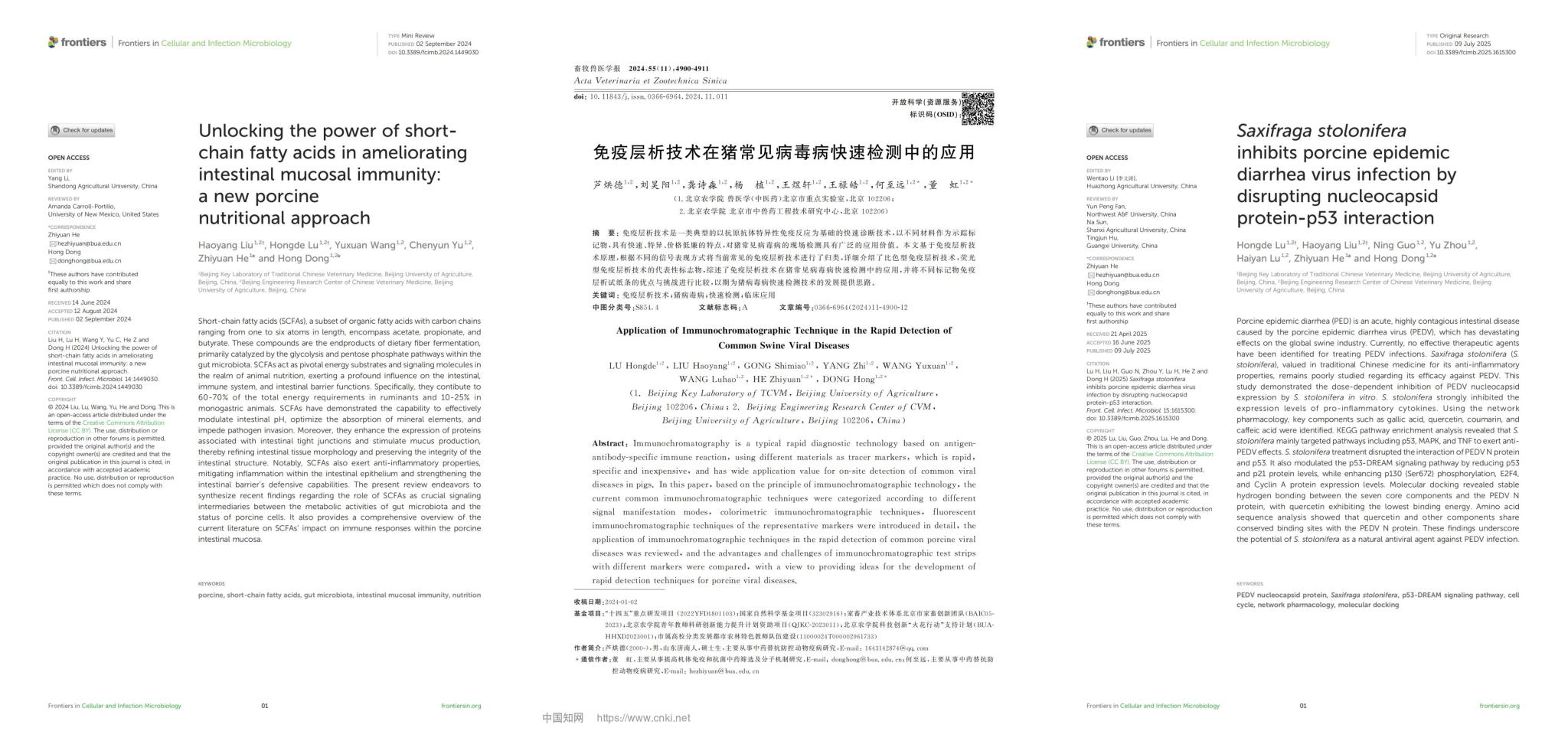 香港六合彩开奖记录