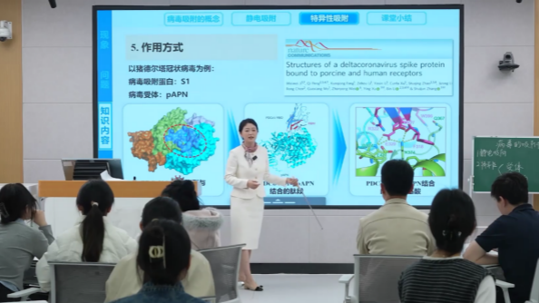 香港六合彩开奖记录