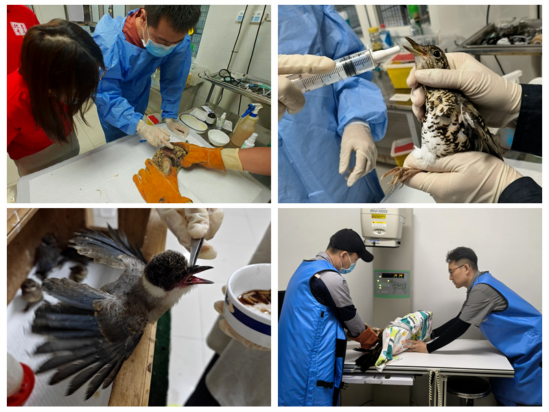 香港六合彩开奖记录